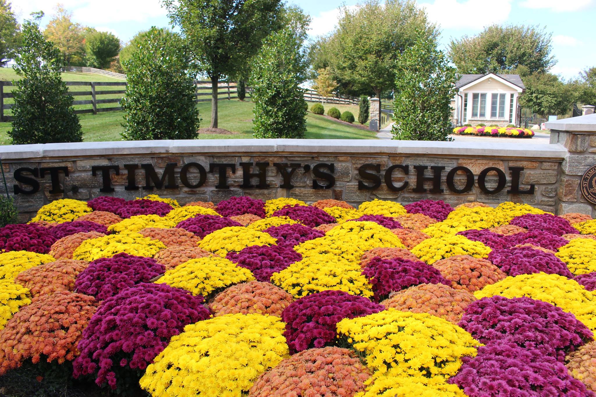 马里兰州一所以IB教学和马术项目著称的女校--圣蒂莫西女子中学St. Timothy's School